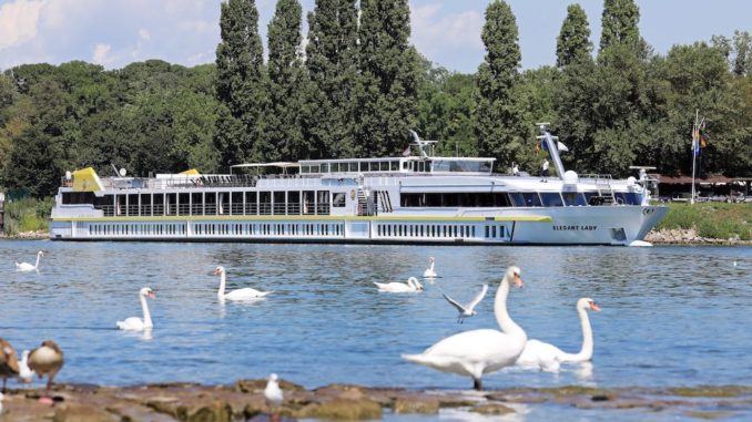 MSElegantLadySchwäne MS Elegant Lady von Plantours. Foto: Plantours Kreuzfahrten